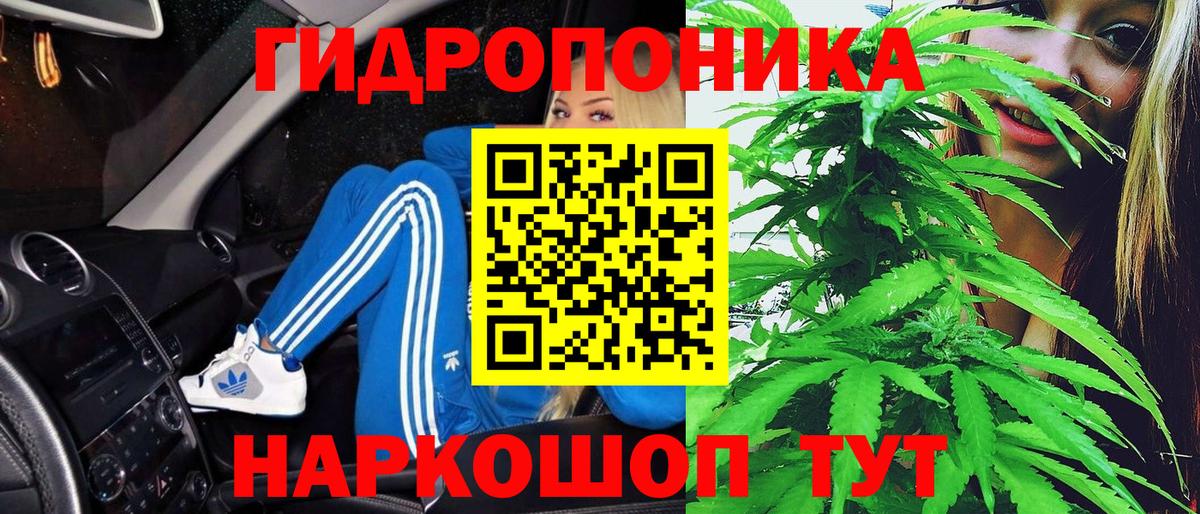 Каннабис планчик Белгород